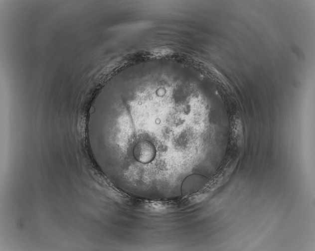 X0000110950565200907101309