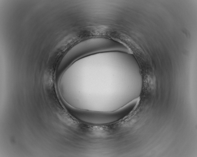 X0000110950566200907101309