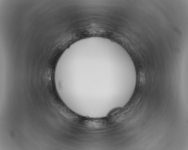 X0000110950567200907101310