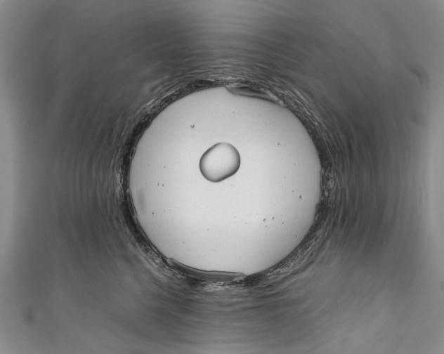 X0000110950568200907101310