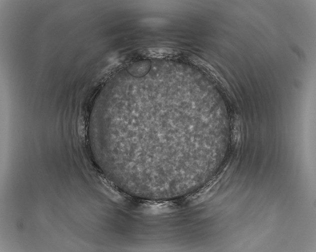 X0000110950569200907101310