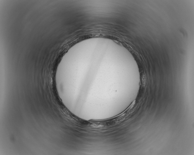 X0000110950570200907101310