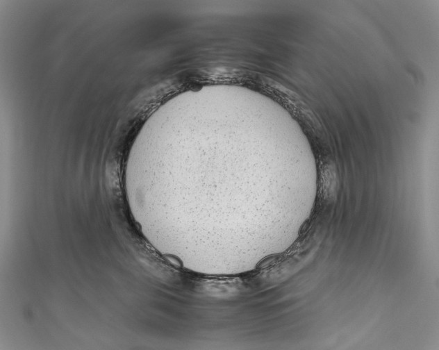 X0000110950571200907101310