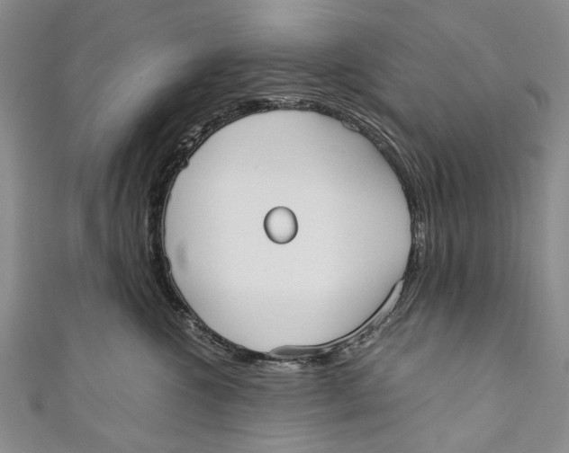 X0000110950572200907101310