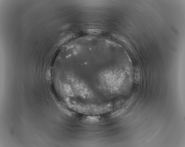 X0000110950573200907101310