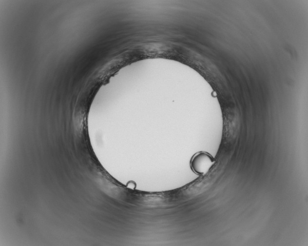 X0000110950574200907101310