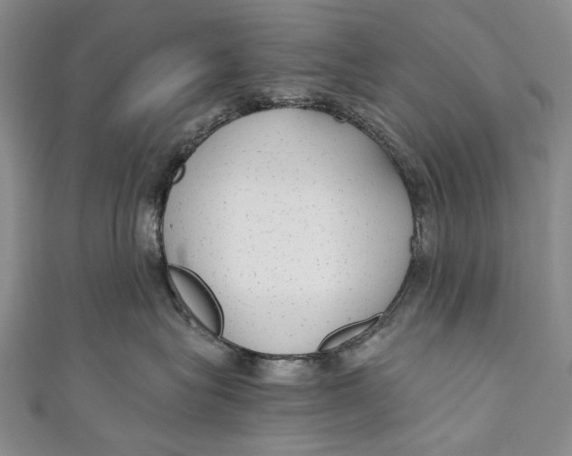 X0000110950575200907101310