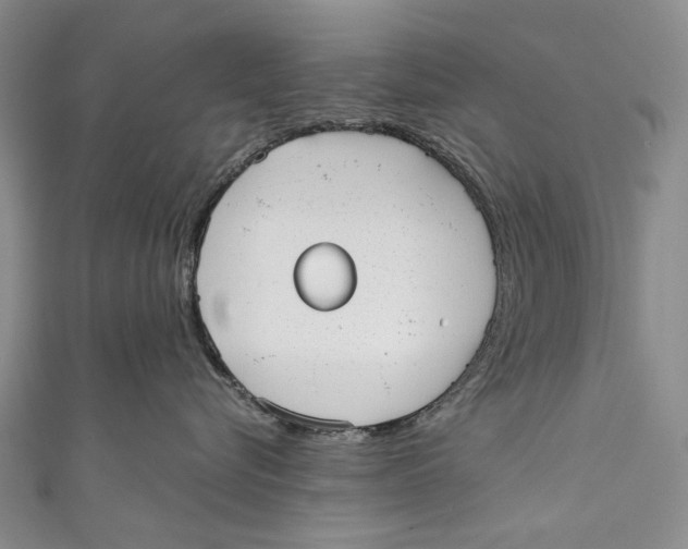 X0000110950576200907101310