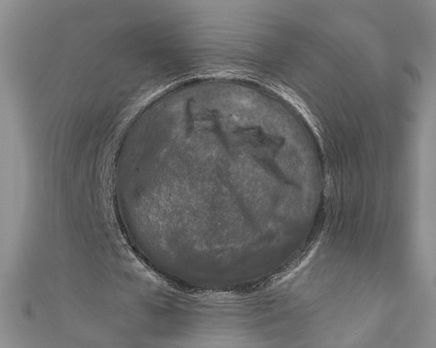 X0000110950577200907101309