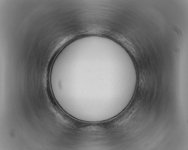 X0000110950578200907101309