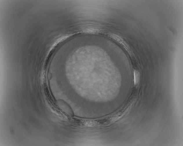 X0000110950579200907101309