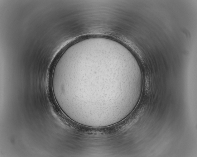 X0000110950580200907101309