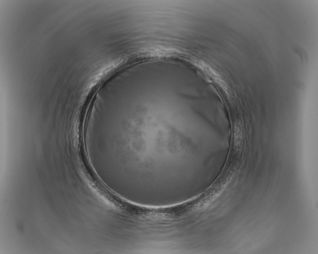 X0000110950581200907101309