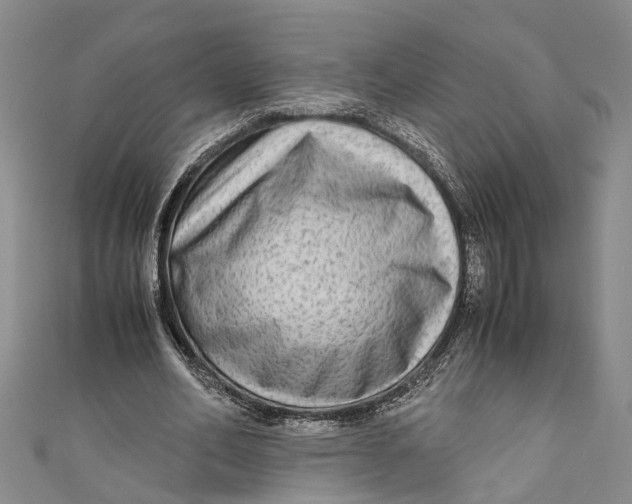 X0000110950582200907101309