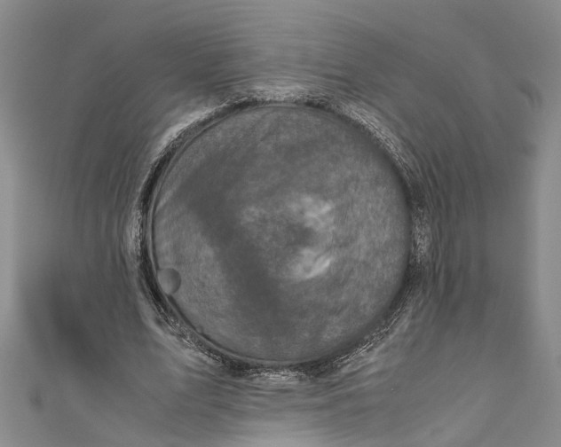 X0000110950583200907101309