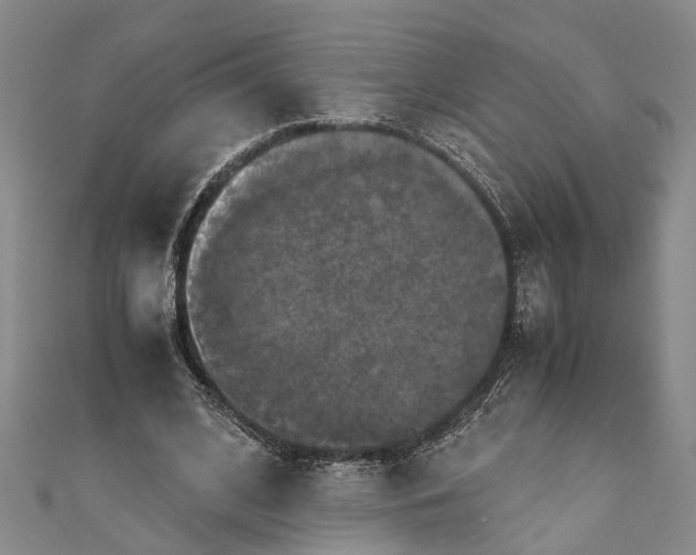 X0000110950584200907101309