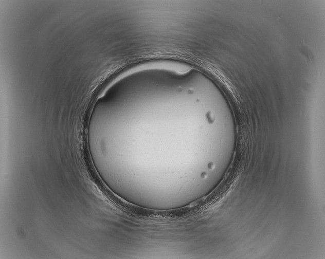 X0000110950585200907101309