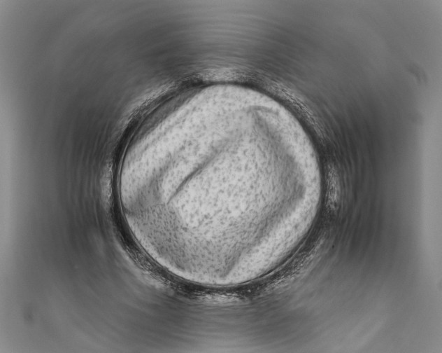 X0000110950586200907101309