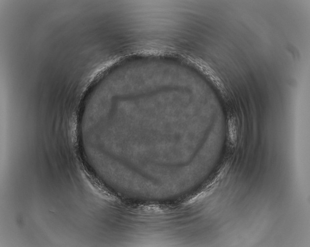 X0000110950588200907101309