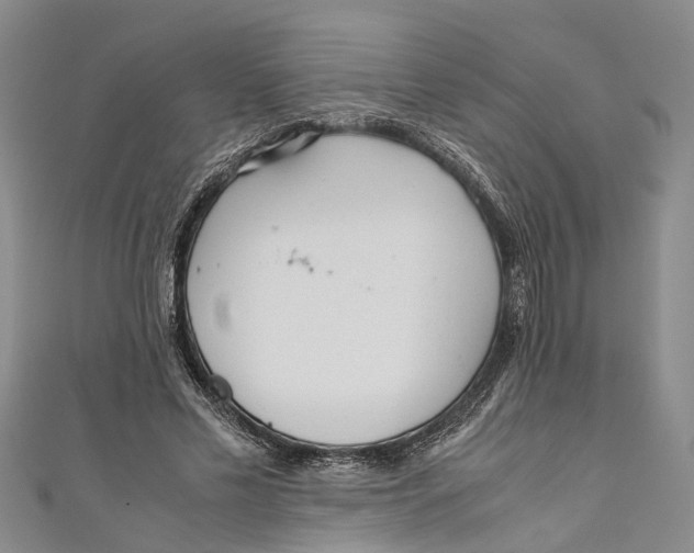 X0000110950589200907101309