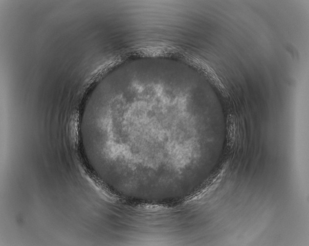 X0000110950590200907101309