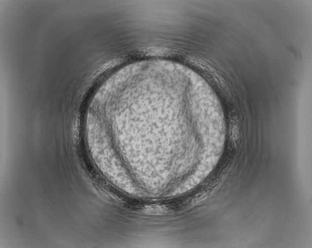 X0000110950591200907101309