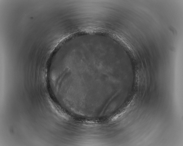 X0000110950592200907101309