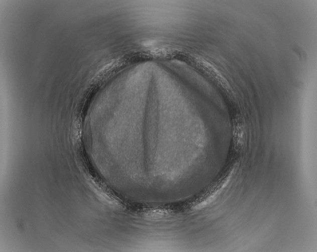 X0000110950593200907101309