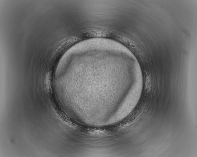 X0000110950594200907101309