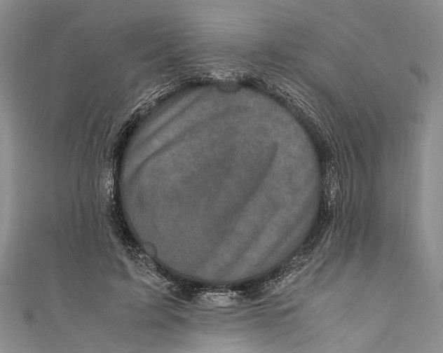 X0000110950595200907101309