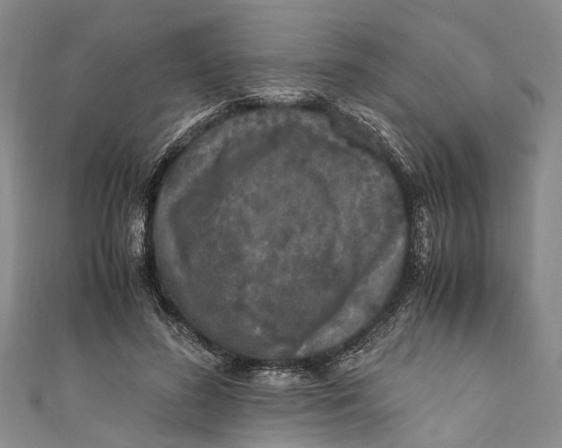 X0000110950596200907101309