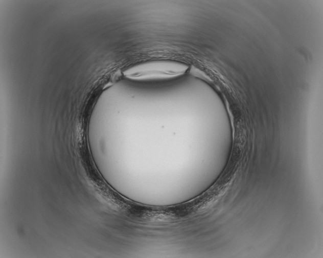 X0000110950597200907101309