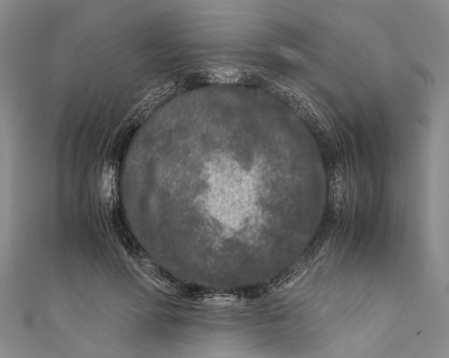 X0000110950598200907101309