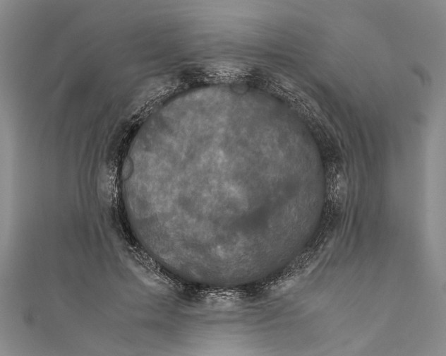 X0000110950599200907101309