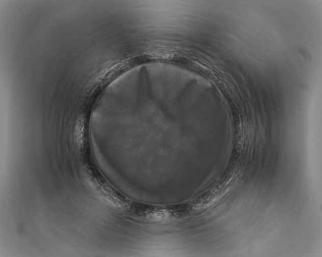 X0000110950600200907101309