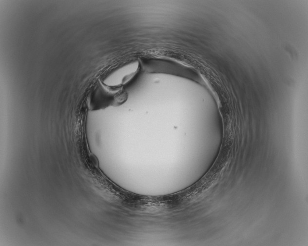 X0000110950601200907101309