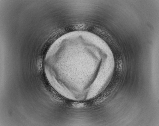 X0000110950602200907101309