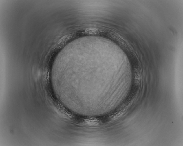 X0000110950603200907101309