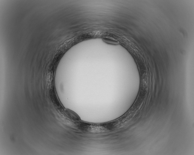 X0000110950605200907101309