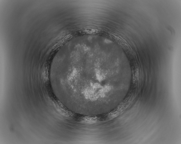 X0000110950606200907101309