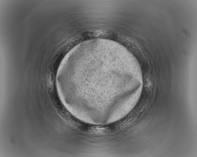 X0000110950607200907101309