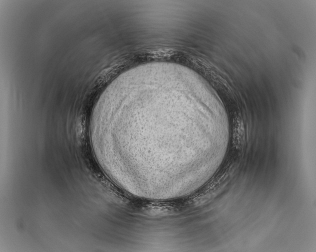 X0000110950608200907101309