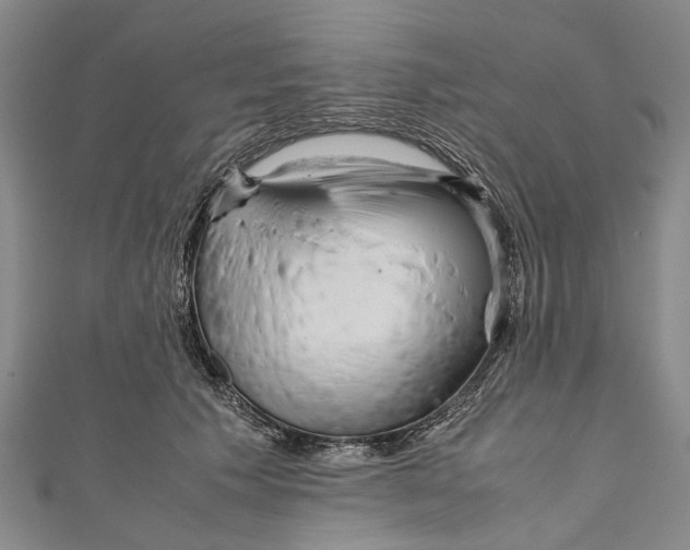 X0000110950609200907101309