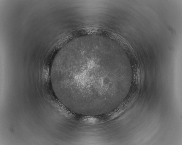 X0000110950610200907101309