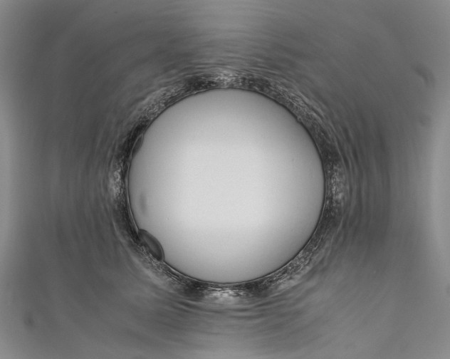 X0000110950611200907101309