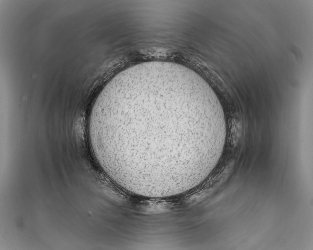 X0000110950612200907101309