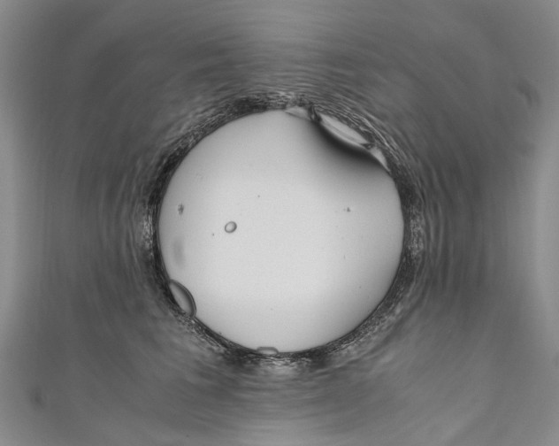 X0000110950613200907101309