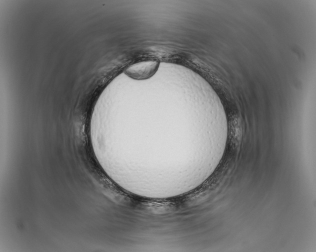 X0000110950615200907101309