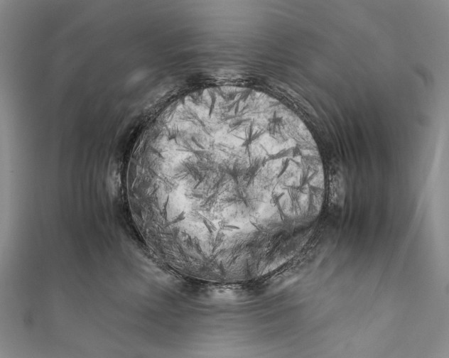 X0000110950618200907101308