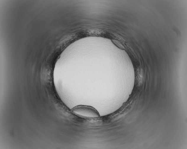 X0000110950619200907101308